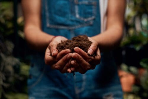 A person wearing denim overalls holds a handful of soil mixed with coffee grounds. The background is blurred, suggesting a garden or outdoor setting. The focus is on the soil and the person's hands, which appear slightly dirty from gardening activities.