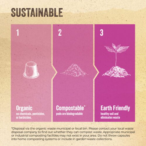 Sustainable Packaging for Beauty Coffee
